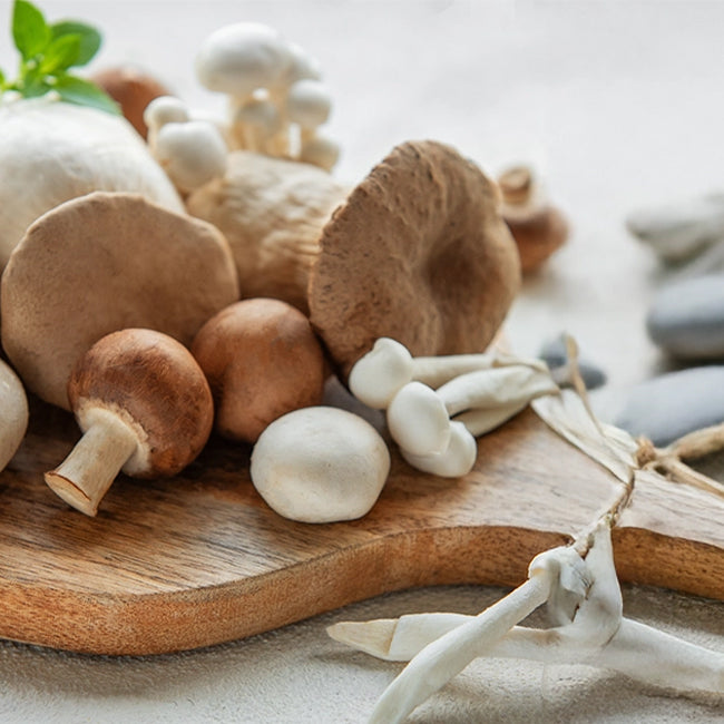 Are Mushrooms Good for You? Discover 9 Health Benefits of Mushrooms