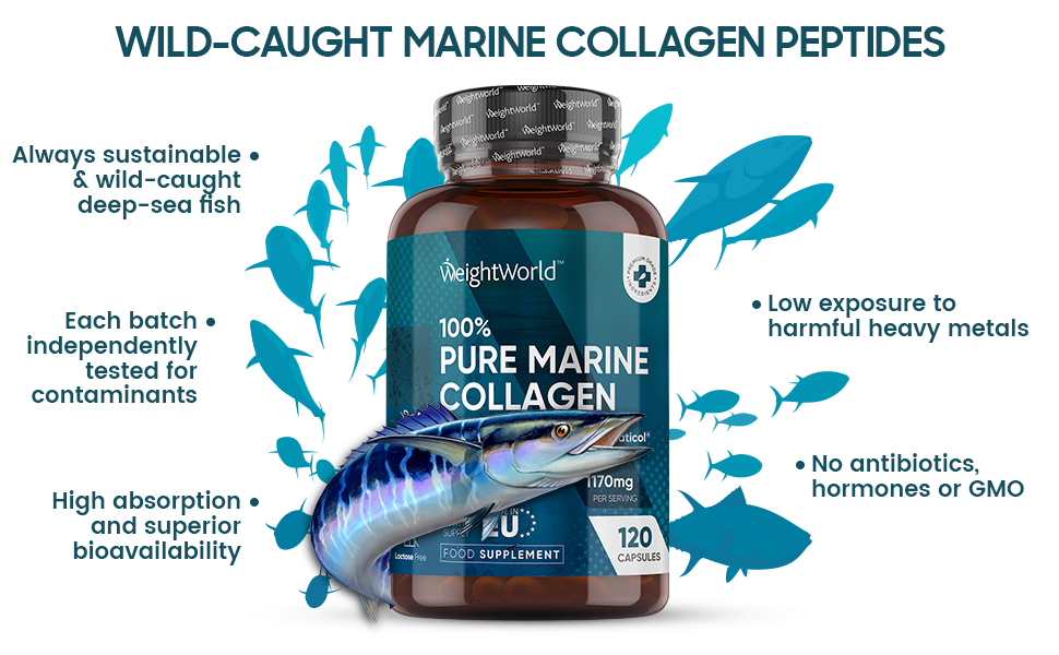 Collagen Pills