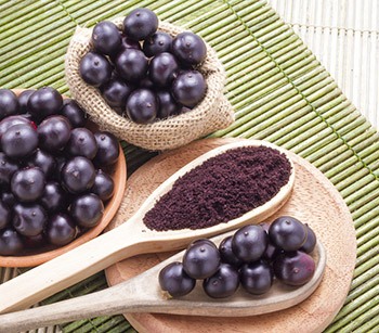 spoonfull of the acai berries powder weightworld next too berries spoonfull of the acai berries powder weightworld next too berries