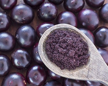 spoonfull of the acai berries powder weightworld on top of berries spoonfull of the acai berries powder weightworld on top of berries