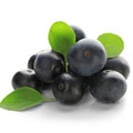 picture of acai berries which are good for anti-ageing and great for weight loss