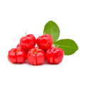 The Acerola cherries which includes essential vitamin c and macros The Acerola cherries which includes essential vitamin c and macros