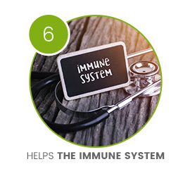 circle containg stethascope to help the immune system circle containg stethascope to help the immune system