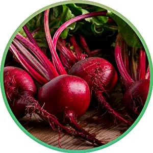 Beet Root Image