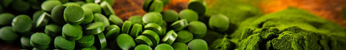 bio chlorella algae capsules and powder next to each other bio chlorella algae capsules and powder next to each other