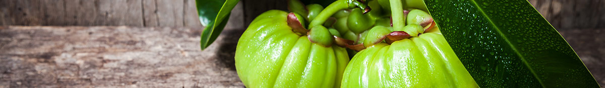 heading image for gancinia cambogia showing garcinia cambogia plant heading image for gancinia cambogia showing garcinia cambogia plant