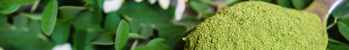 heading banner image for moringa page showing moringa powder