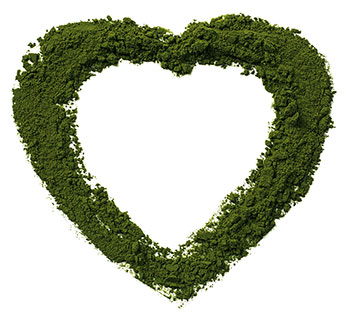 image of chlorella powder shaped into a heart on a table