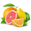 Citrus Citrus