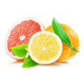 to represten Citrus Bioflavonoids colours this picture is a selection of citrus fruits