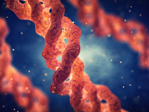 image of collagen fibres found in connective tissue