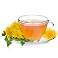 dandelion plant make your detox tea antioxidant rich with vitamins A, C and D
