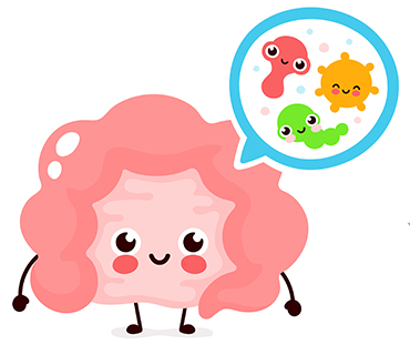 digestion digestion