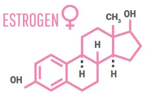 image of chemical structure of estrogen to show how menopause can affect weight loss image of chemical structure of estrogen to show how menopause can affect weight loss