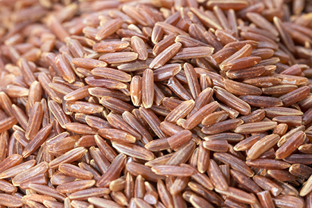 Fibre which is also a natural appetite suppressant much like Garcinia Cambogia Fibre which is also a natural appetite suppressant much like Garcinia Cambogia