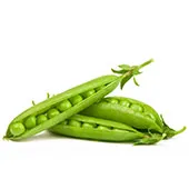 fresh-green-peas