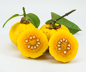 What is Garcinia Cambogia? What is Garcinia Cambogia?