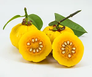 What is Garcinia Cambogia?