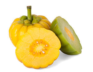 Image Of Garcinia Cambogia Fruit to show it is an ingredient in raspberry ketone plus Image Of Garcinia Cambogia Fruit to show it is an ingredient in raspberry ketone plus