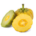 garcinia cambogia plant behing half cut garcinia cambogia