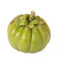 Garcinia Cambogia plant that is a natural appitite suppressant