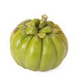 Garcinia Cambogia plant that is a natural appitite suppressant Garcinia Cambogia plant that is a natural appitite suppressant