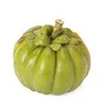 Garcinia Cambogia plant that is a natural appitite suppressant