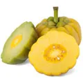 image of garcinia cambogia which is a good appitite suppressant