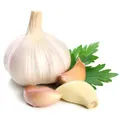 Garlic