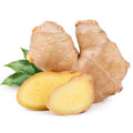 Ginger Ginger