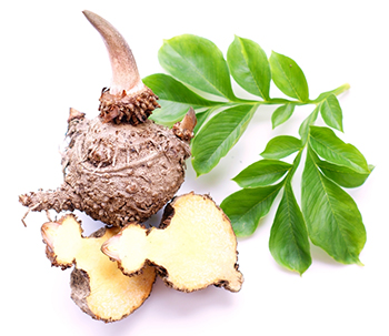 front view of weightworld colone cleanse and glucomannan front view of weightworld colone cleanse and glucomannan