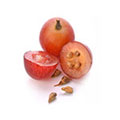Grape seed extract and the cardiovascular system and the the link between this ingredient and blood pressure Grape seed extract and the cardiovascular system and the the link between this ingredient and blood pressure