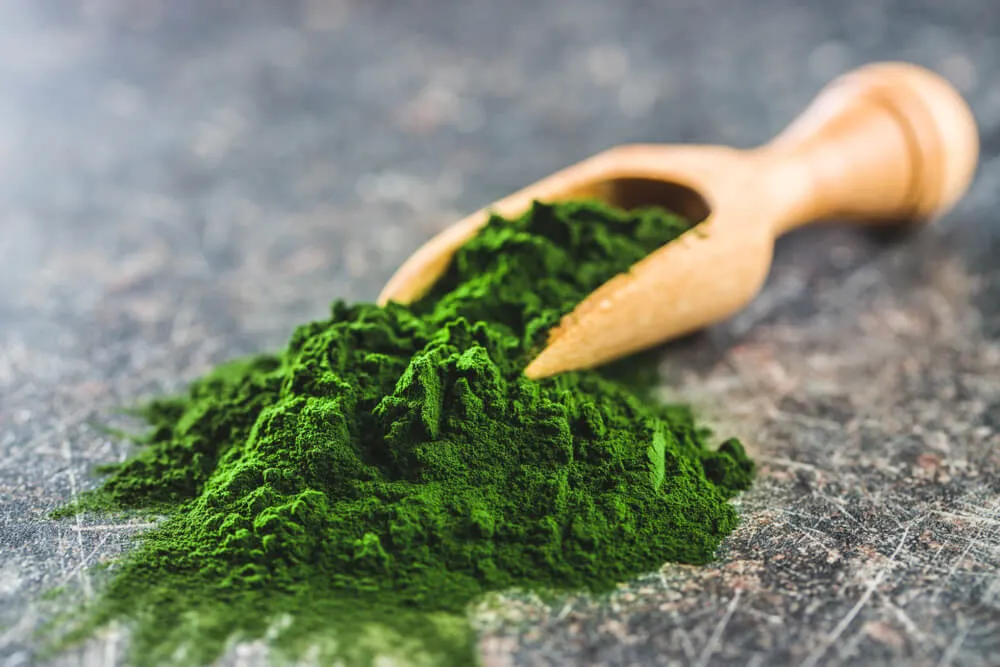 green-chlorella-powder-wooden-scoop