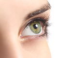 image of an eye to show that Moringa can protect against retinal damage image of an eye to show that Moringa can protect against retinal damage