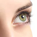image of an eye to show that Moringa can protect against retinal damage image of an eye to show that Moringa can protect against retinal damage
