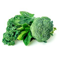 Green Leafy Veggies Green Leafy Veggies