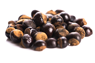 image of Guarana fruit which comes from a perennial shrub image of Guarana fruit which comes from a perennial shrub