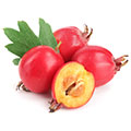Hawthorn Berry which has been used for centuries to help with cardiovascular health Hawthorn Berry which has been used for centuries to help with cardiovascular health