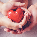 Supports heart health Supports heart health