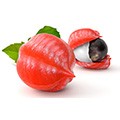 Guarana Guarana