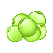 Lipid Metabolism Lipid Metabolism