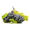 Resveratrol