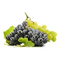 Resveratrol