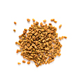 Fenugreek