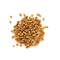 Fenugreek