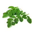 Moringa