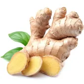 Ginger Root