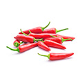 Capsaicin Capsaicin
