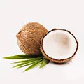 Coconut