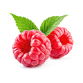 Raspberry Ketone